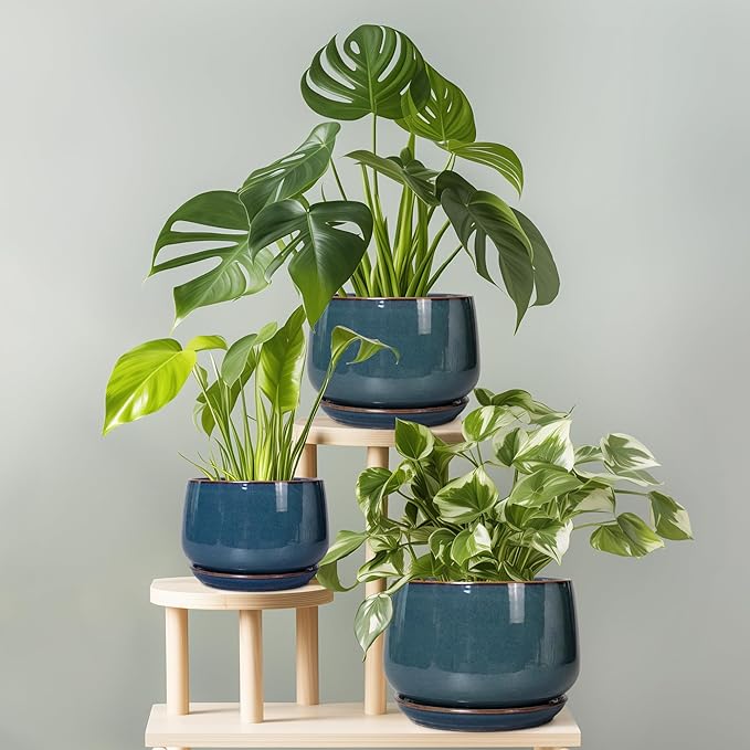 G EPGardening Ceramic Pot for Plants - Image 7
