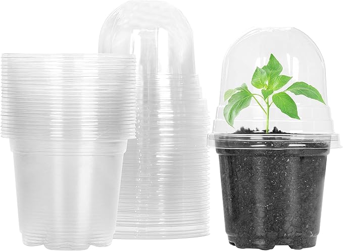 MIXC Clear Plant Nursery Pots by MIXC