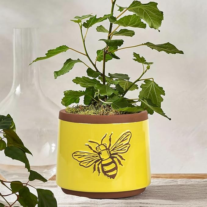 YBX Terracotta Pots Inch with Drainage Holes, Bee Decor, Ceramic Pots - Image 7