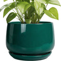 G EPGardening Ceramic Pots for Plants by GEPGardening