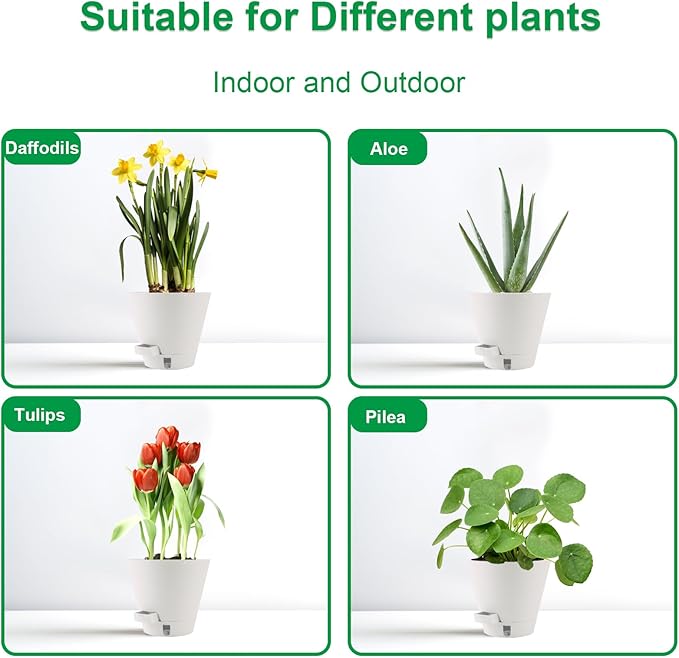 Self-Watering-Pots-for-Indoor-Plants, 8 Inch Flower Pots - Image 5