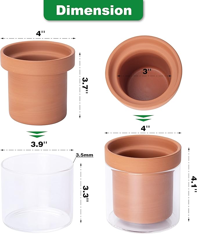Phoenix Vine 4 Inch Self Watering Planter Pot, Terracotta Clay Pot - Image 4