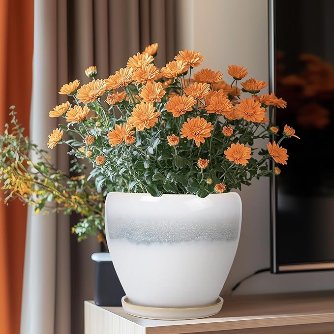 Ceramic Pots for Plants - Image 2
