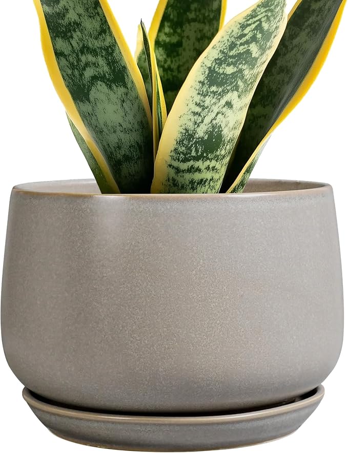 G EPGardening Ceramic Pots for Plants 7 Inch by GEPGardening