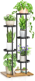 LASZOLA Black 5 Tier Plant Stand Indoor Heavy Duty Metal Planter Flower Holder by LASZOLA