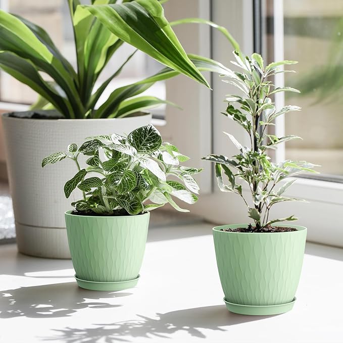 6 inch Plant Pots, 5 Pack Flower Pots - Image 7