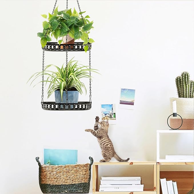 Plant Hanger Indoor Outdoor, 2 Tier Hanging Planter Plant Shelf, Metal Hanging - Image 2