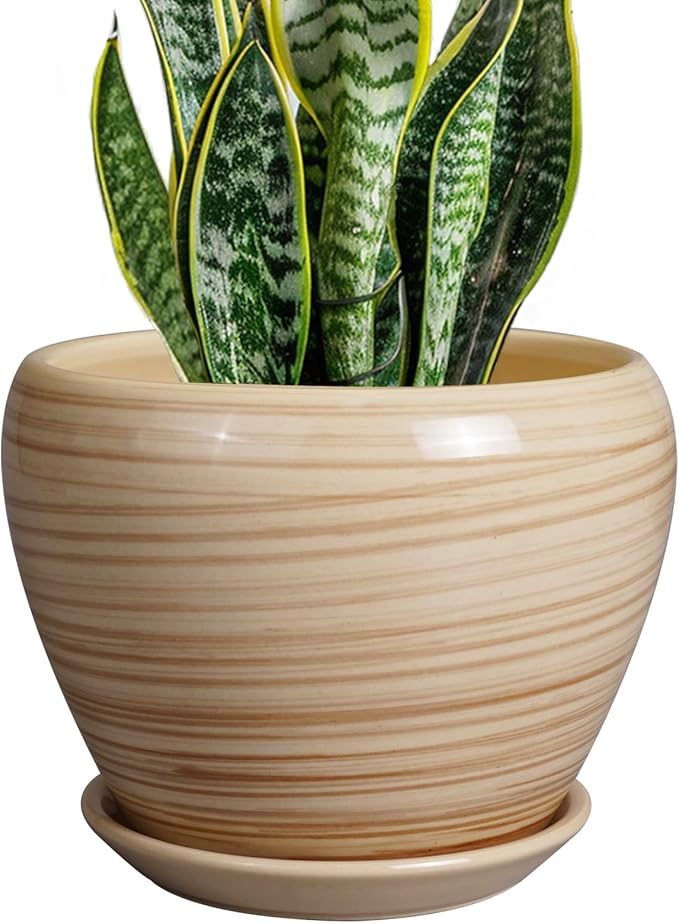 Planter 8 Inch - Indoor/Outdoor Ceramic Plant Pot by Ceramicfor