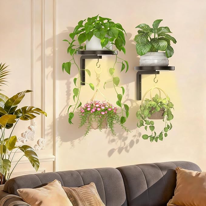 iDavosic.ly Wall Plant Holder - Image 7