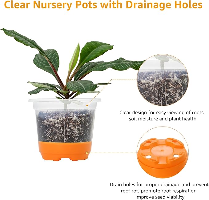 MIXC Thickened Clear Nursery Pots - Image 5