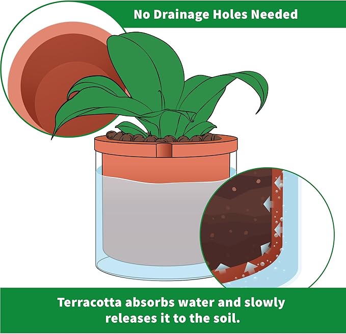 Phoenix Vine 10 Inch Self Watering Planter, Indoor Cylinder Terra Cotta Pot - Image 5