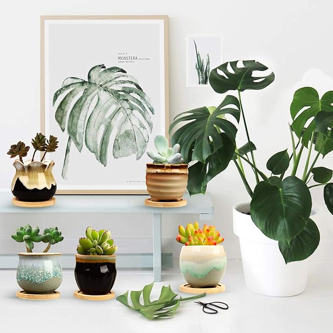 Brajttt 2.1 Inch Succulent Pot - Image 4