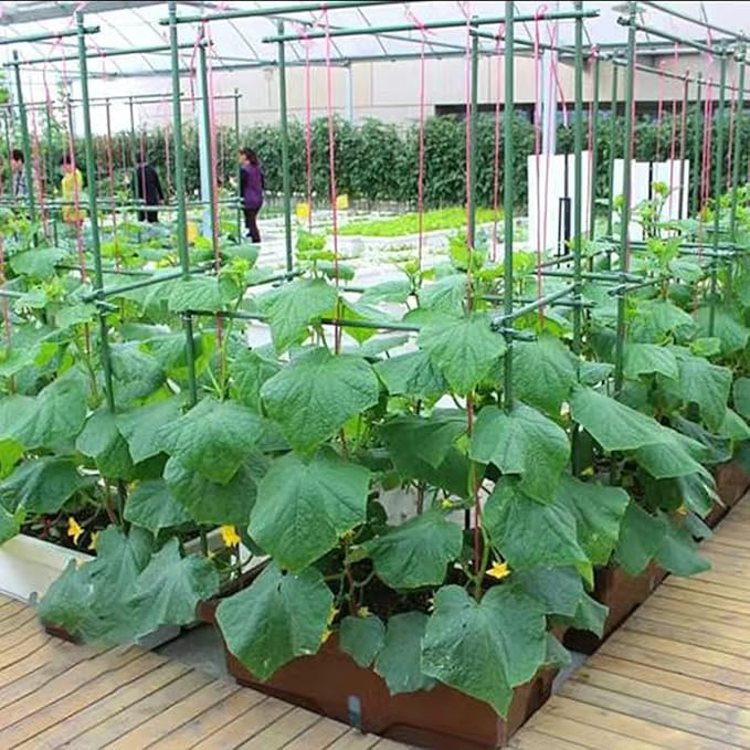 6Ft 72inch Garden Stakes Sturdy Plant Sticks Support Tomato Stakes - Image 5