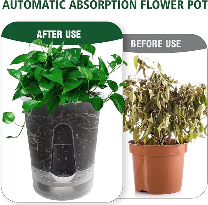 Cdd's Path Upgraded 5-Pack 6 Inch Naked Root Planter Self Watering Pots Set - Image 6