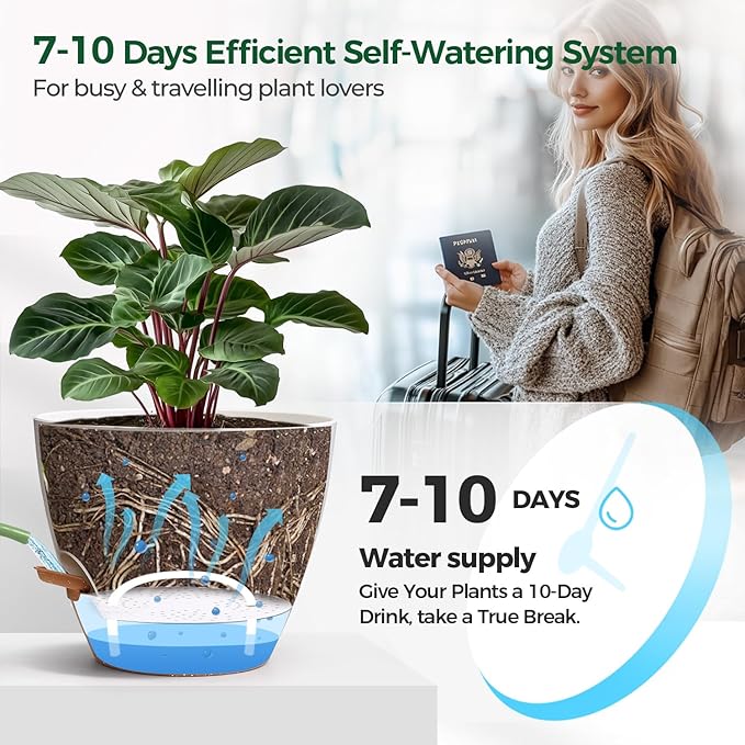 T4U 4 Pack 6 Inch Self Watering Pots - Image 4