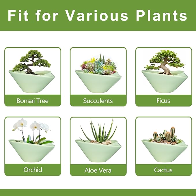 Ceramic Bonsai Pots - Image 7