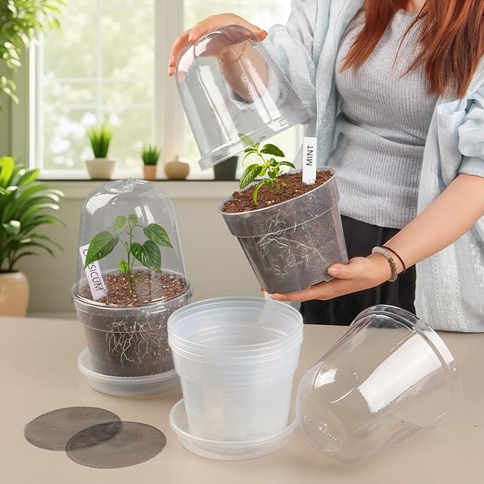 BTPLASTIK 6 Inch Clear Nursery Pots - Image 5