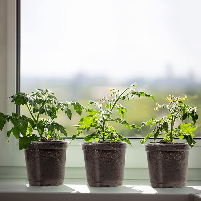 MIXC Clear Plant Nursery Pots - Image 6