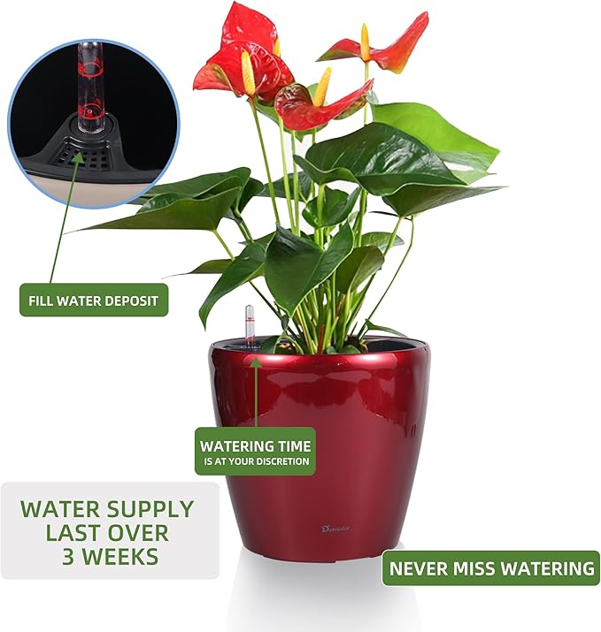Dexceder 11x10 Inches High Gloss Self Watering Planter Indoor Outdoor, Inner - Image 5