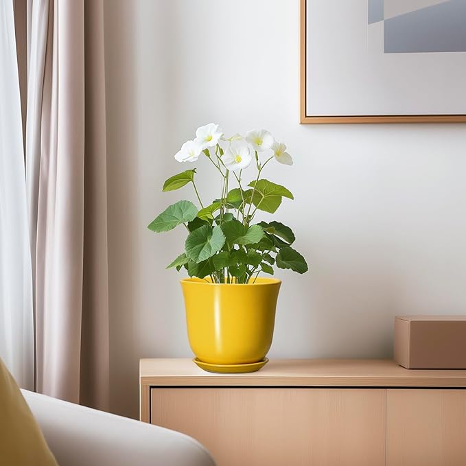 Ceramic Plant Pots - Image 6
