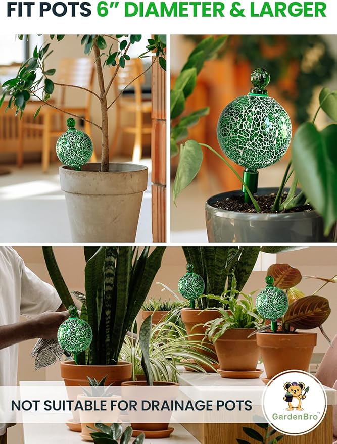 16 Oz Plant Watering Globes for Indoor Plants - Image 5