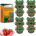 SunVara Strawberry Planter Vertical Gardening Stackable Planter Strawberry by SunVara