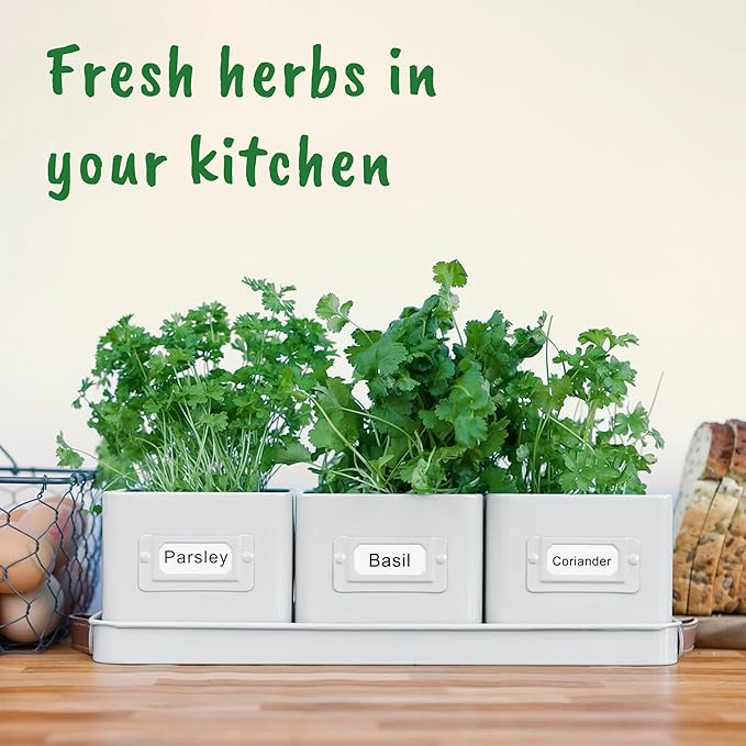 volila Herb Planter Indoor - Image 8