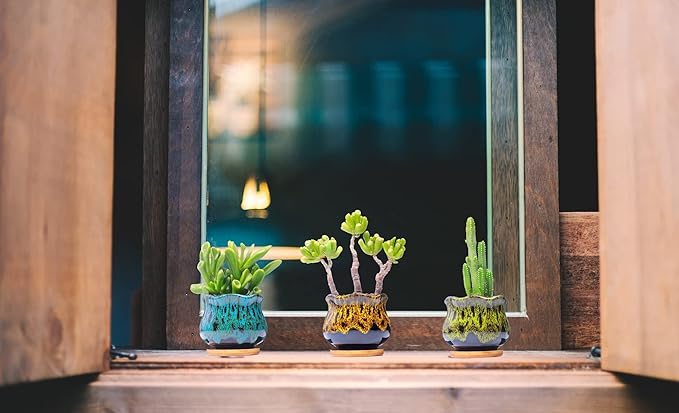 Cute Ceramic Succulent Garden Pots, Planter - Image 2