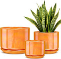 EFISPSS Ceramic Plant Pots, 4+5+6 Inch Ceramic Indoor Pots by EFISPSS