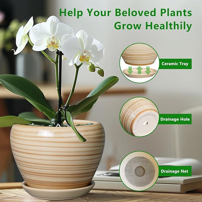 Planter 8 Inch - Indoor/Outdoor Ceramic Plant Pot - Image 6