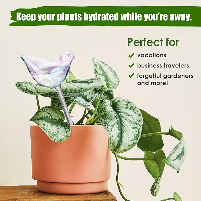 NiHome Glass Plant Self Watering Bulbs 3-Pack Iridescent Pearl Home Potted - Image 5