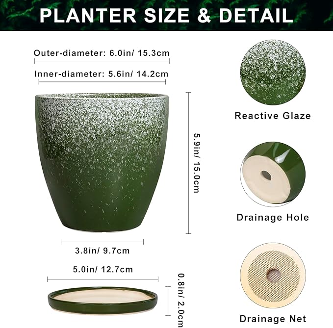 6 Inch Plant Pot - Image 2