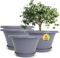 Quarut 12 Inch Large Planter Pot by Quarut