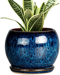 SQOWL 6 Inch Plant Pot by SQOWL