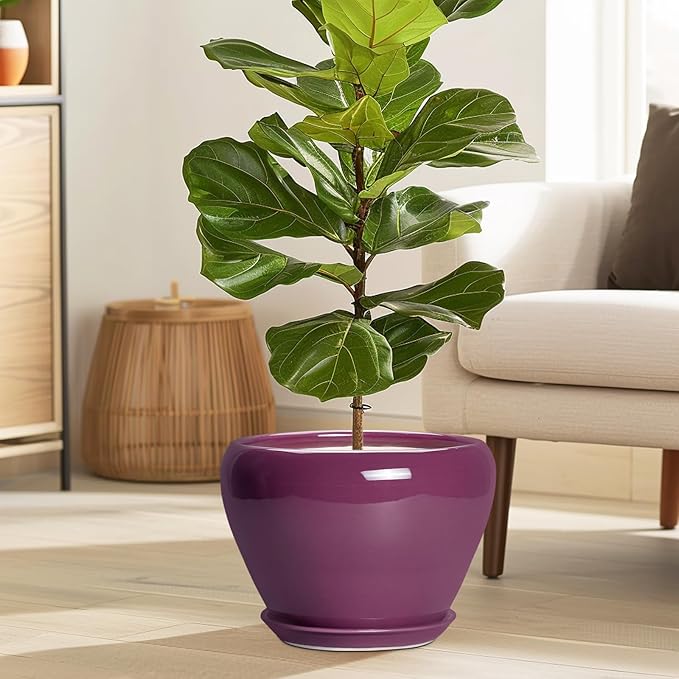 10 Inch Plant Pot - Image 2
