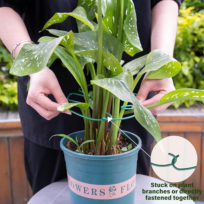5PCS Monstera Plant Stem Support 7.3*6.25IN Adjustable Holder - Image 4