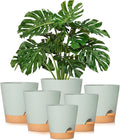 GARDIFE Plant Pots 8/7/6.5/6/5.5/5 Inch Self Watering Planters by GARDIFE