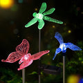 Solar Pathway Lights by OxyLED