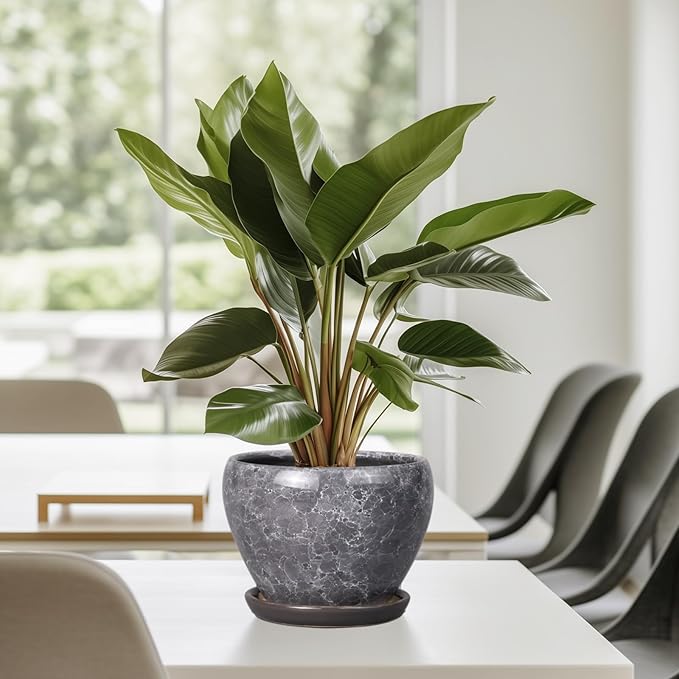 Ceramic Planter - Image 8