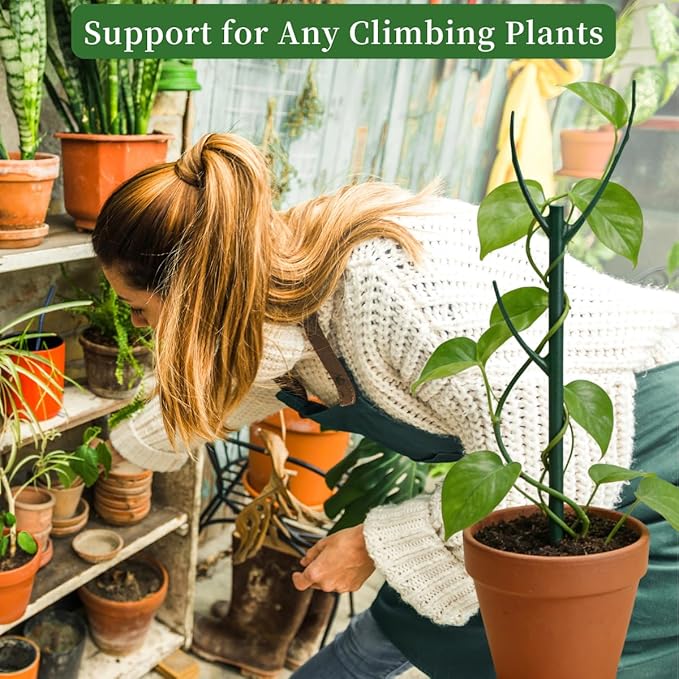 12 Pack Stackable Monstera Plant Support Stakes, 90inch Climbing Plant Sticks - Image 5