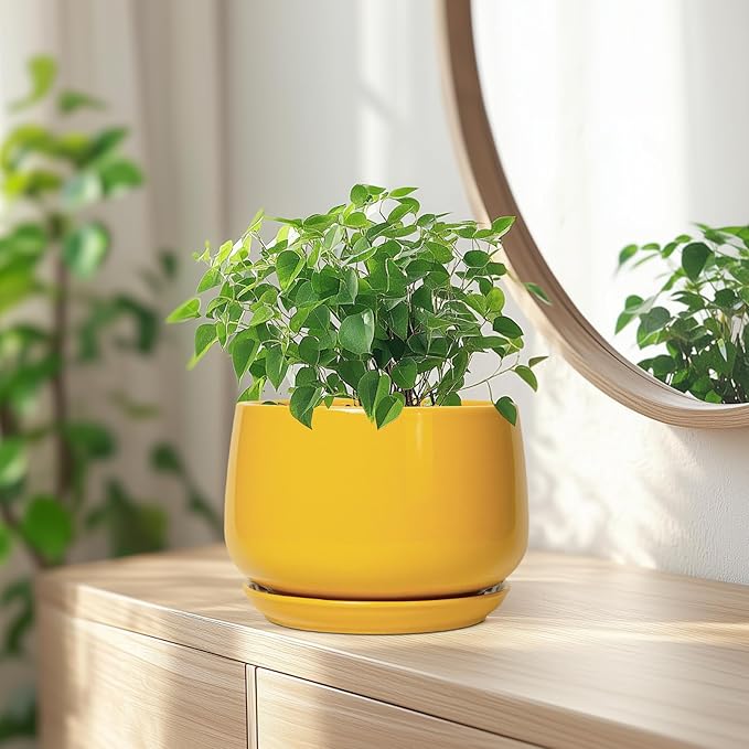G EPGardening Ceramic Pots for Plants - Image 6
