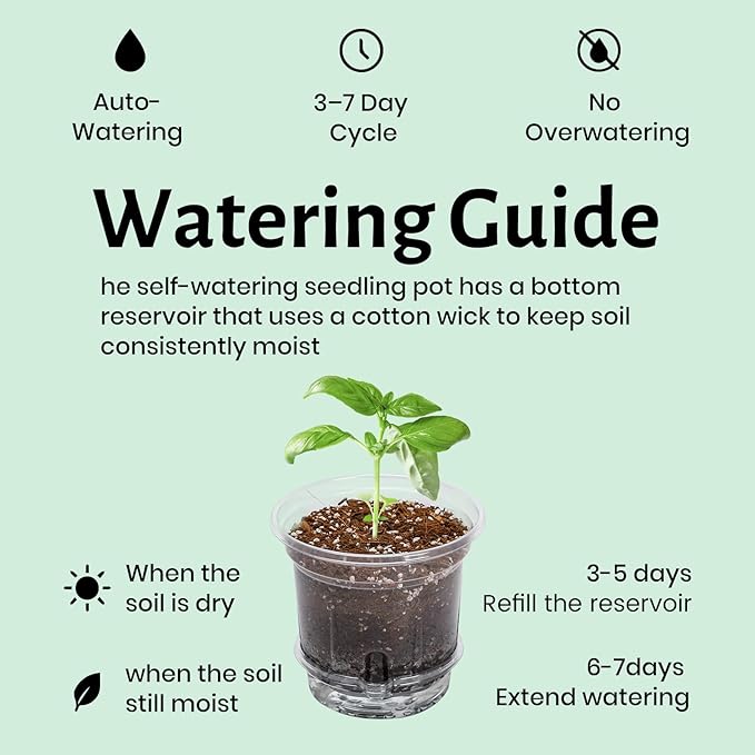 12 Pack 6.5 Inch Clear Self Watering Plant Pots - Image 6