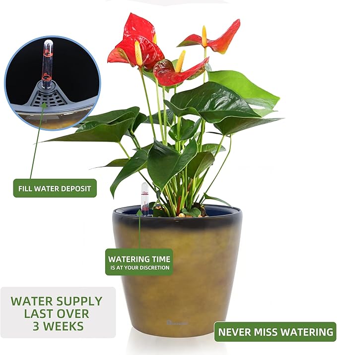Dexceder 11x10 Inches Self Watering Planter Indoor Outdoor, Inner Pot Design - Image 5