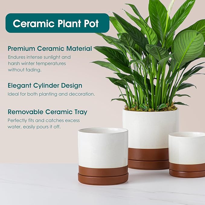 vancasso Ceramic Plant Pots, 3 Piece Planters - Image 5