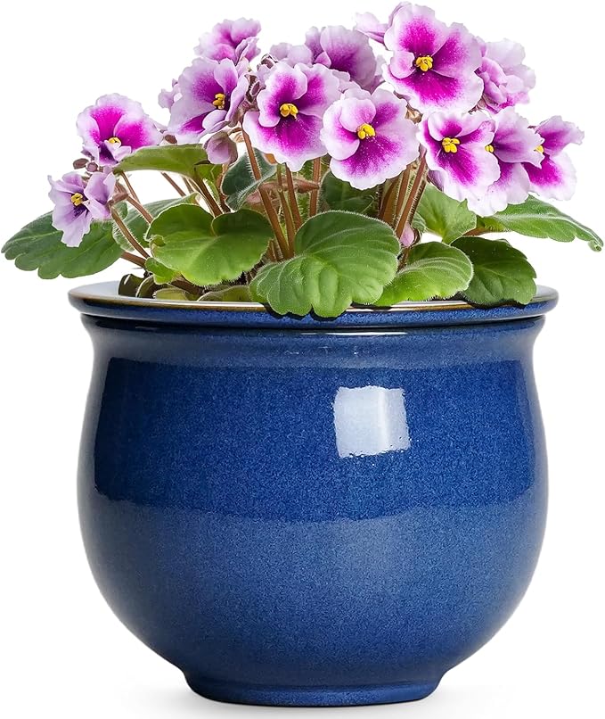 6 Inch Self Watering Pots, Ceramic African Violet Planter by Teagas