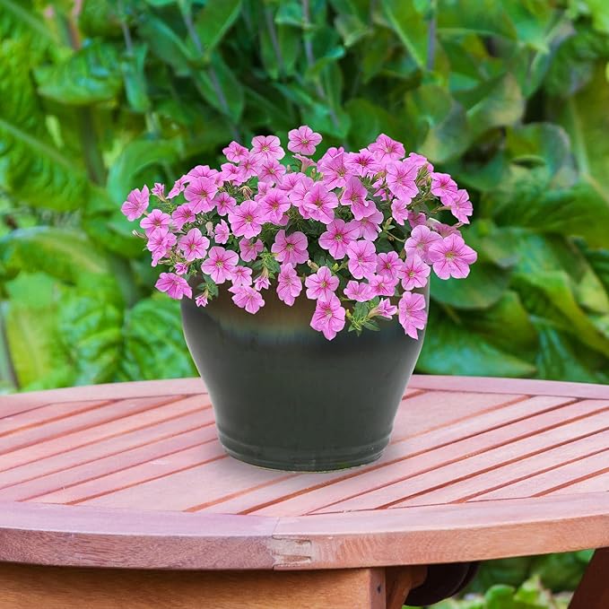 Sunnydaze Large Ceramic Plant Pot - Image 7