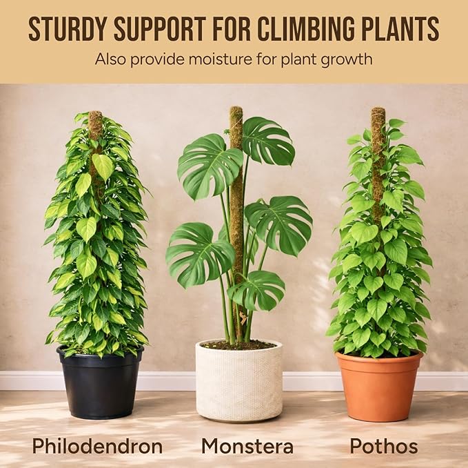 Moss Pole Monstera Plant Support – 48” Bendable Moss Pole Monstera Plant Support - Image 5