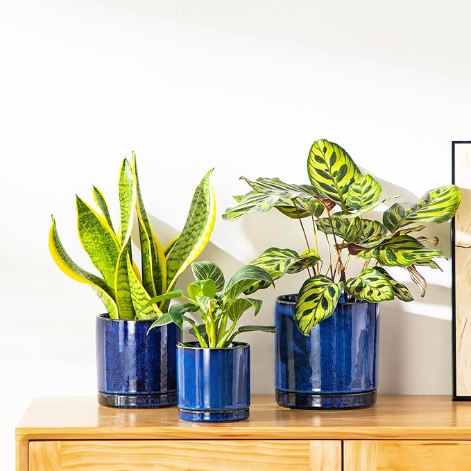 vancasso Ceramic Plant Pots, 3 Piece Planters - Image 5