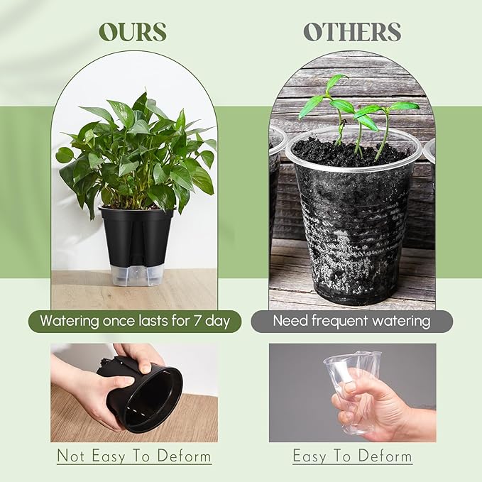 Self Watering Pots for Indoor Plants - Image 5
