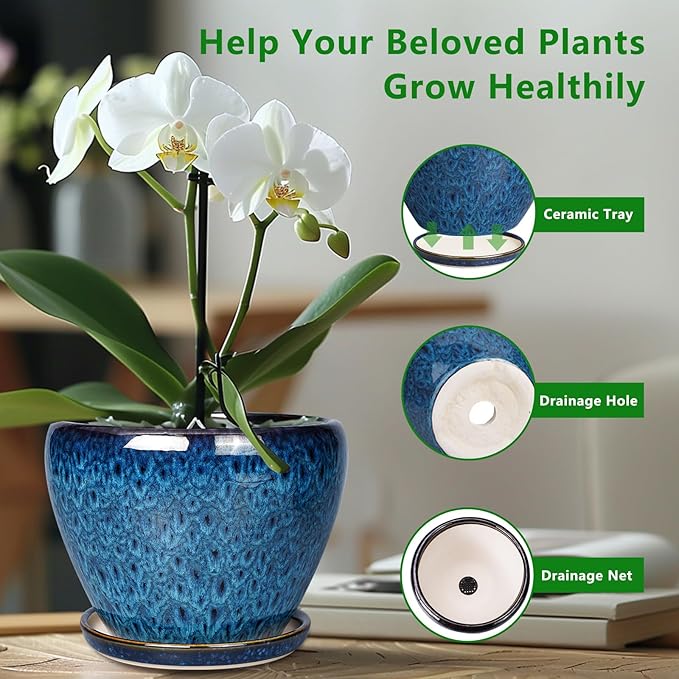 8 Inch Ceramic Plant Pot, Ceramic Planter Pot - Image 6